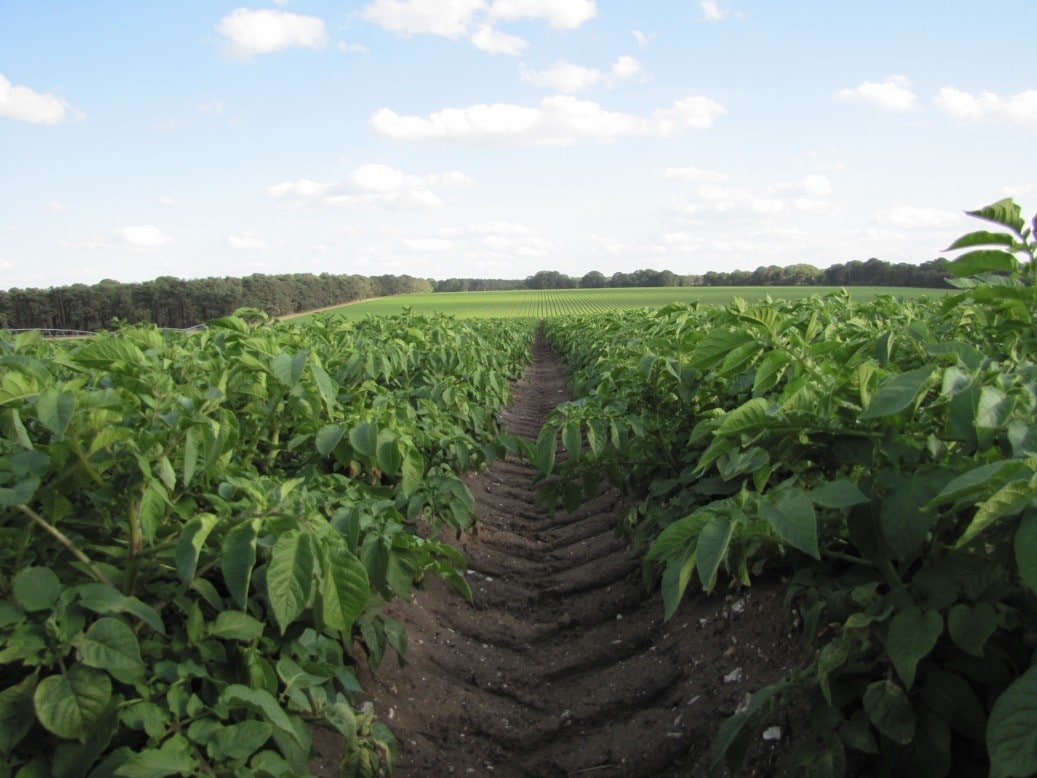 Demo Day at Elveden Estate 12 May: Soils and Water Management Innovation