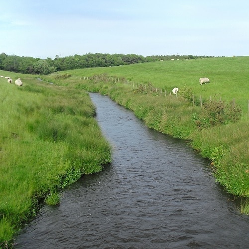 New funding available for lowland peat soils