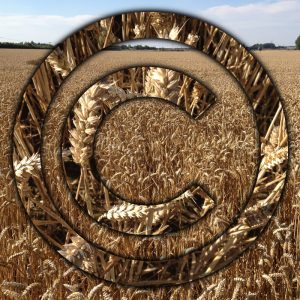 Reasons To Cultivate IP In The Agri-TechE Field