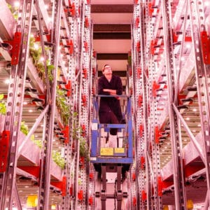 Bringing The Outside In – Innovating for Controlled Environment Agriculture