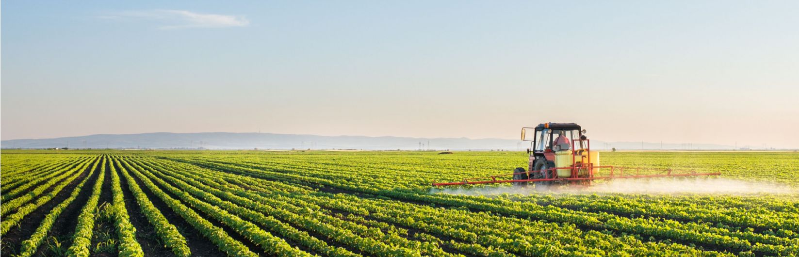 Savills Food and Farming