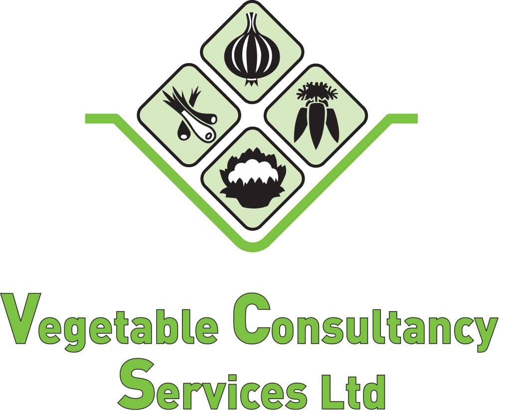Vegetable Consultancy Services