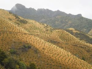 Exporting High Farming and Food Standards From the UK and NZ