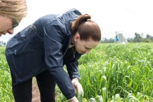 Diane Saunders, John Innes Centre