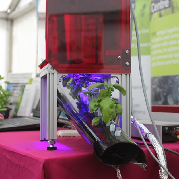 University of Essex at RNS 2019 2