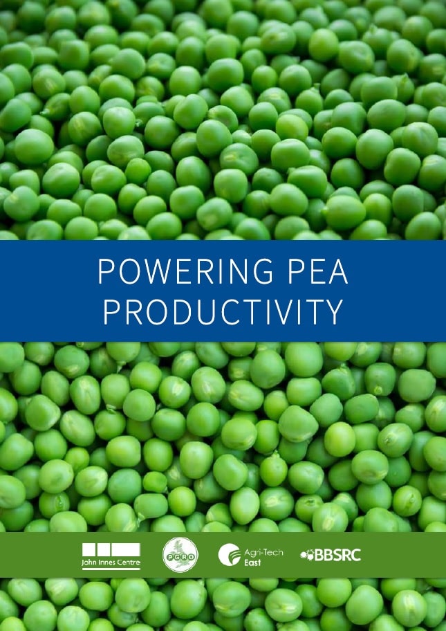 Powering Pea Productivity