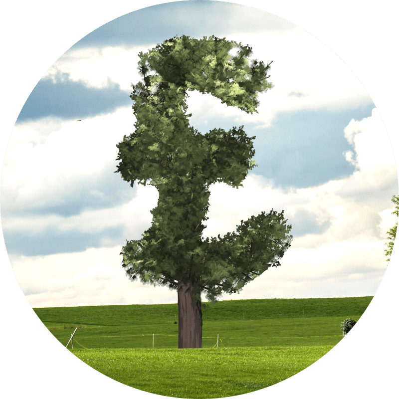 Asset finance