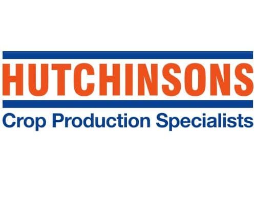 Hutchinsons