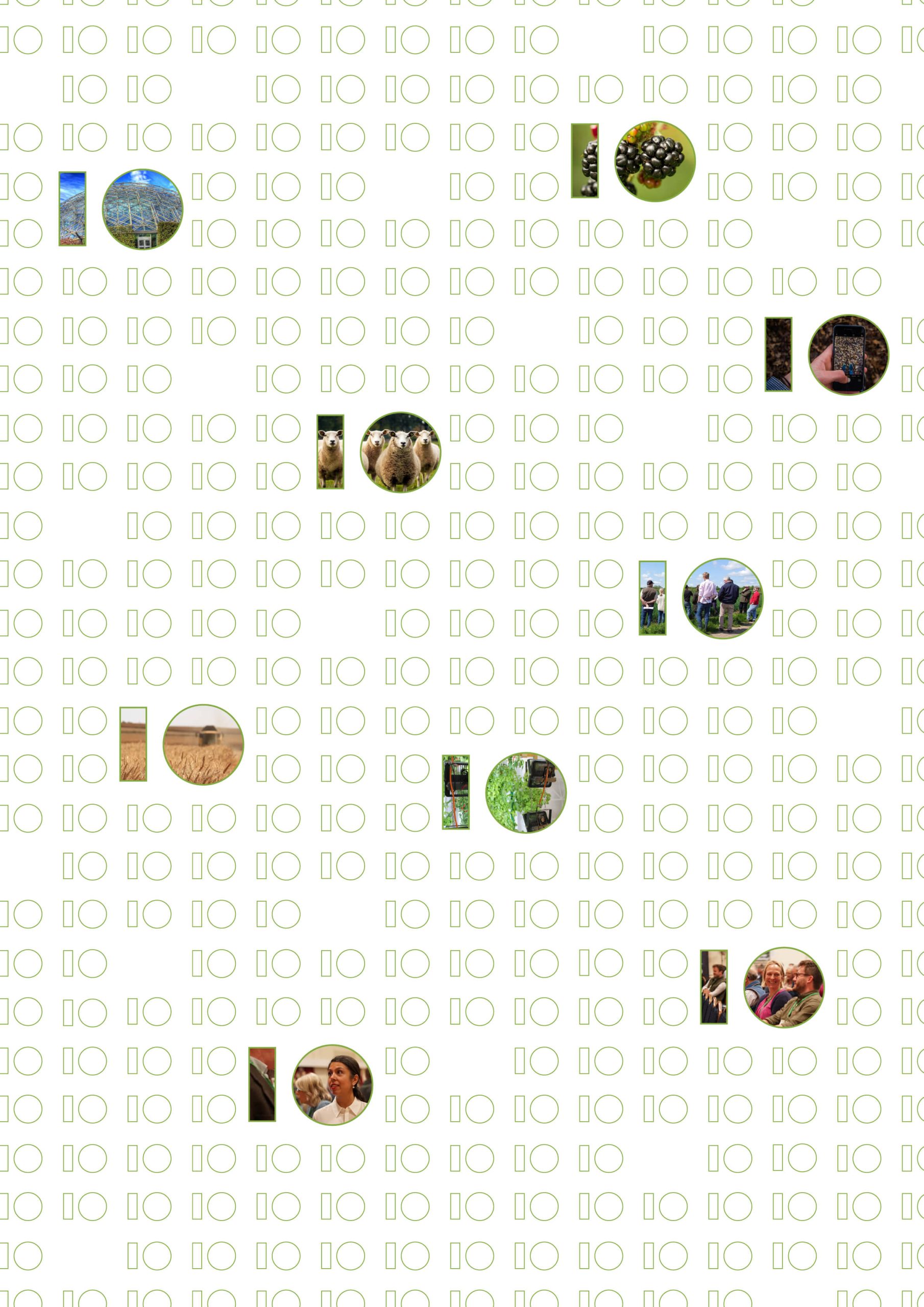 New agri-tech strategy and government support needed to maintain momentum