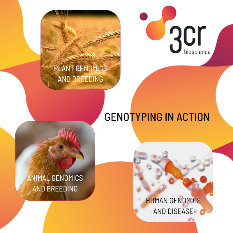 3CR Bioscience reduces loss of lambs through rapid ID of genetic markers