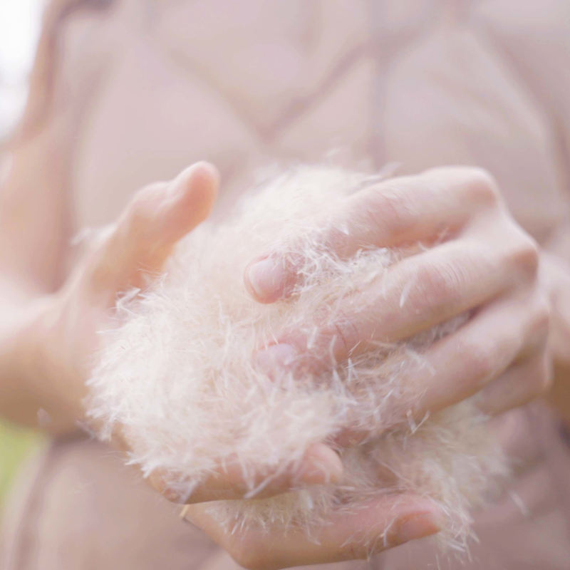 BioPuff-from-Ponda-2-web