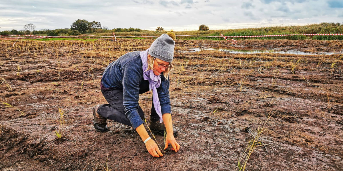Is holding water in the environment the secret to sustainable food production?