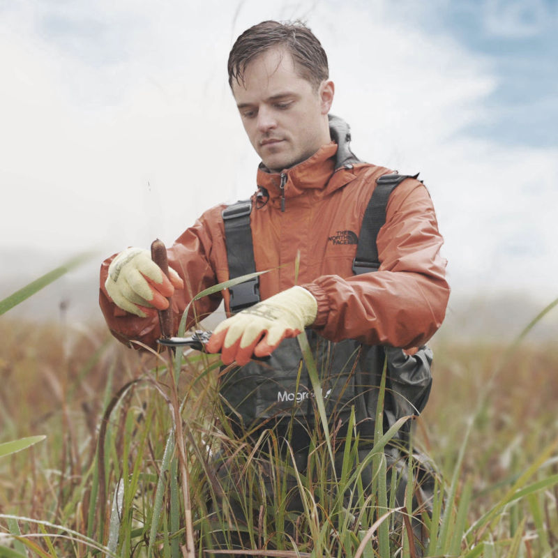 Ponda-extracting-fibres-from-plants-that-aid-in-wetland-regeneration
