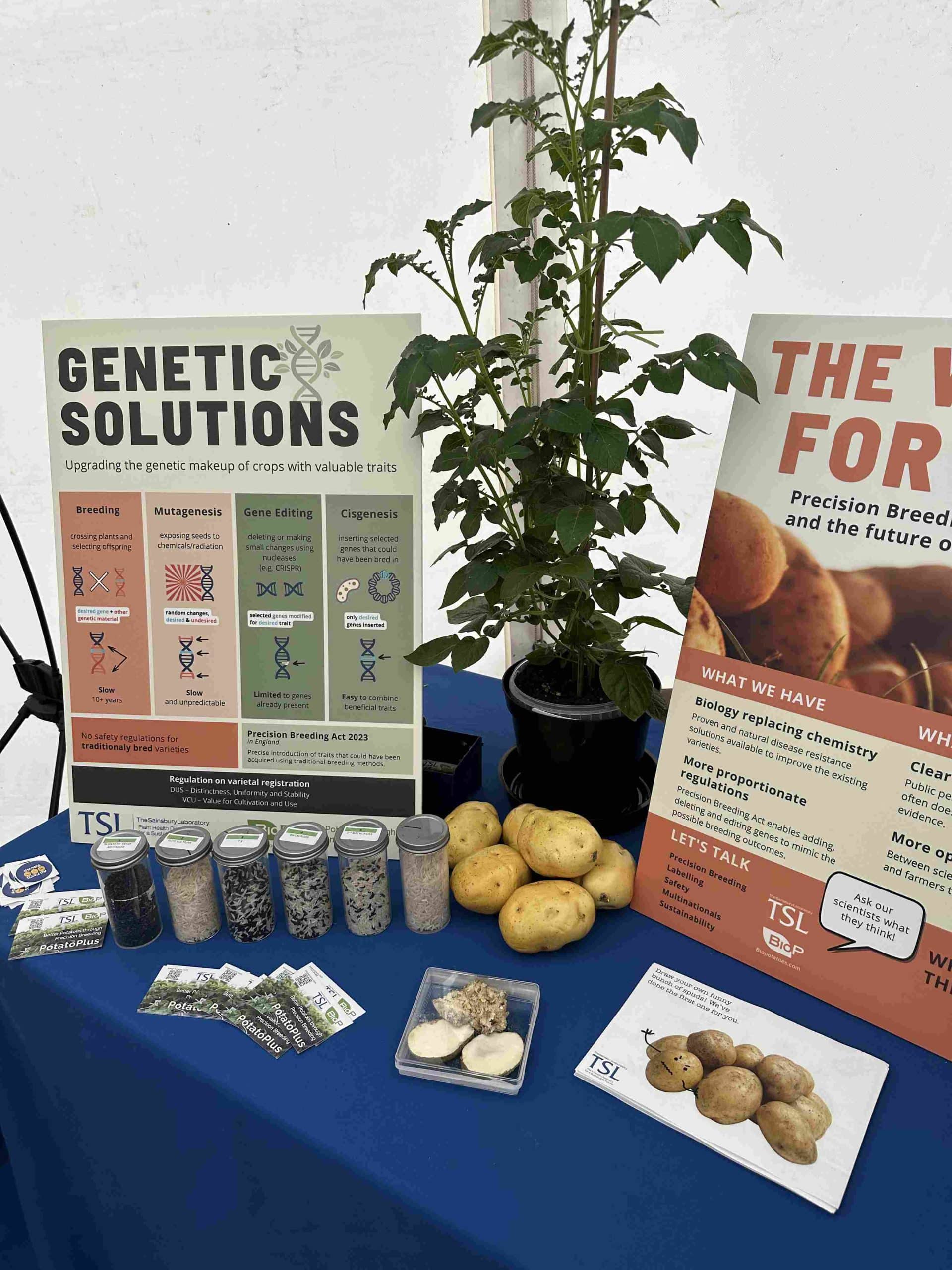 TSL Innovation Hub 2025 - 5