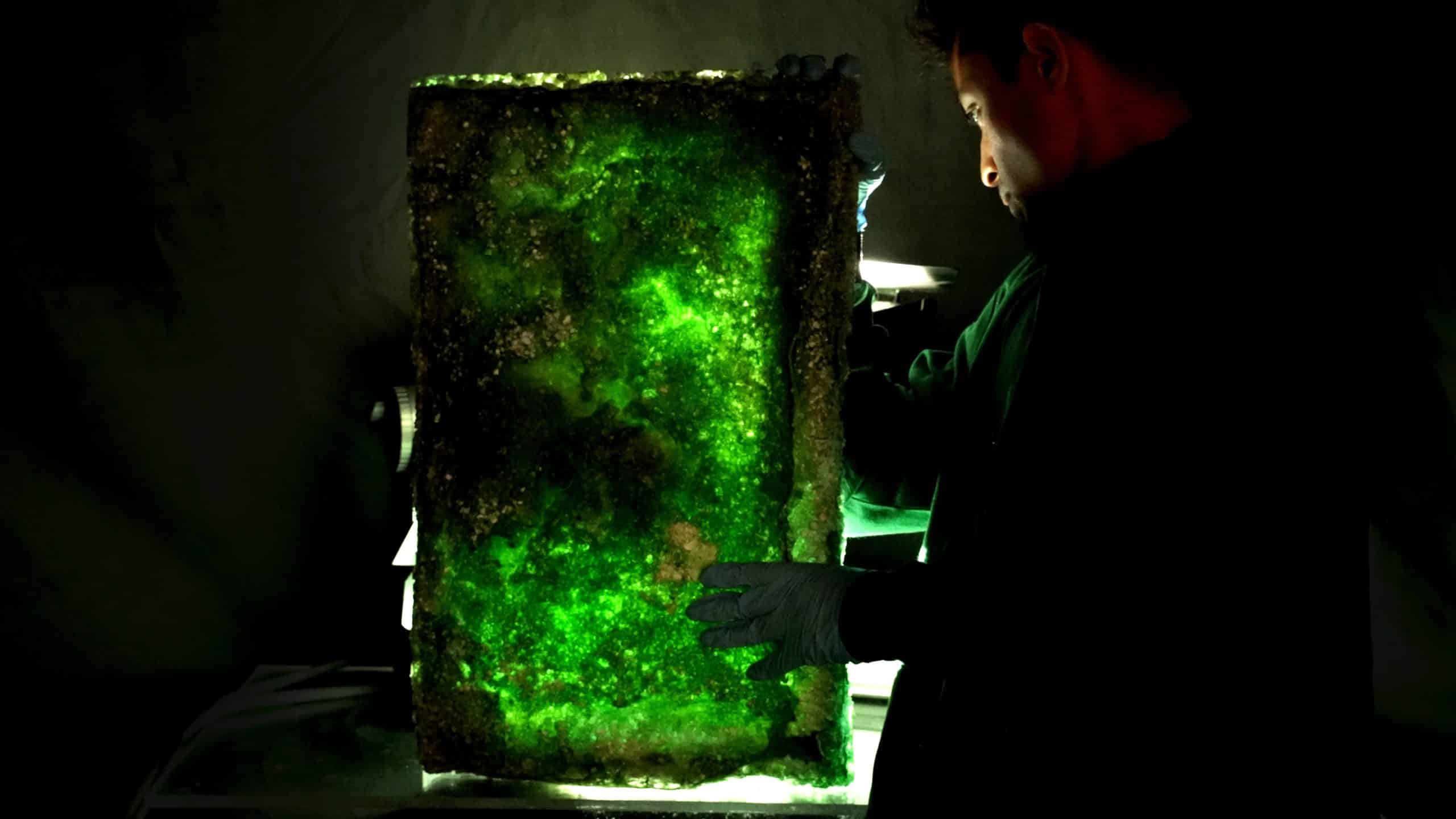 How Earth’s earliest photosynthesizers could offer farmers a new commercial – net zero – opportunity