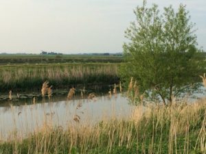 Develop and scaleup innovations: EIC Accelerator