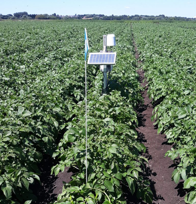 Soil Moisture Sense monitoring