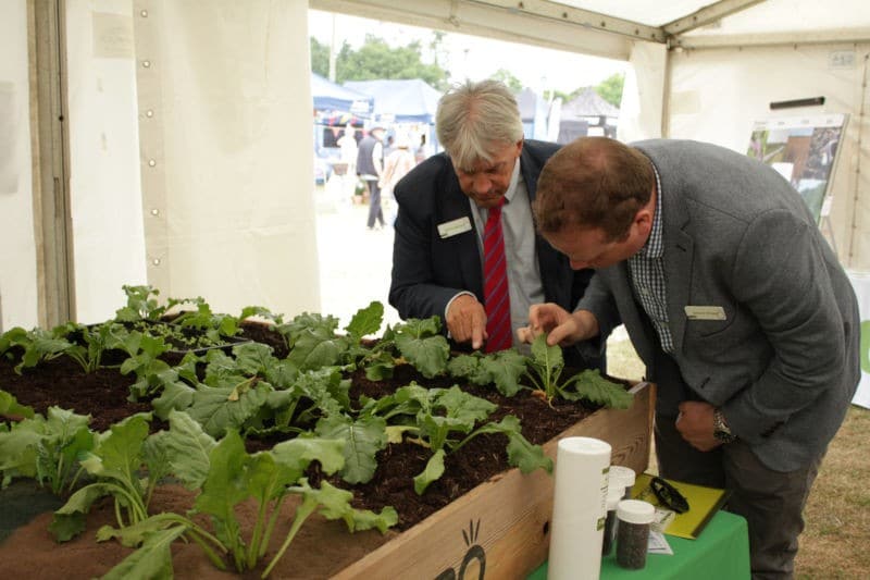 Innovation Hub 2022 BBRO