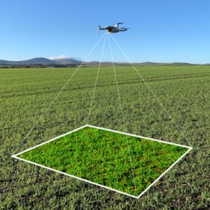 Dron Ag - drone capturing low level image