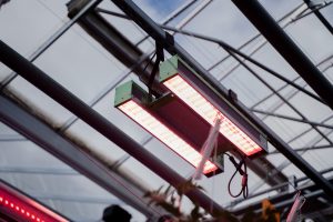 Light Science Technologies