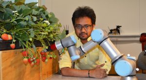 strawberry picking robot designed by Dr Vishuu Mohan credit Essex University