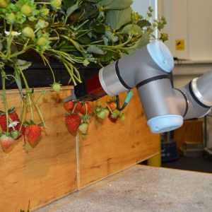 Vishuu Strawberry picking robot 