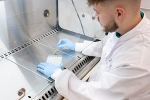 Zayndu increases yield with Aurora plasma tech