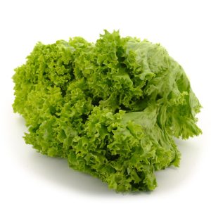 LETTUCE