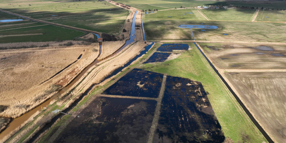 The Horsey Wetland Project [image: Broads Authority]