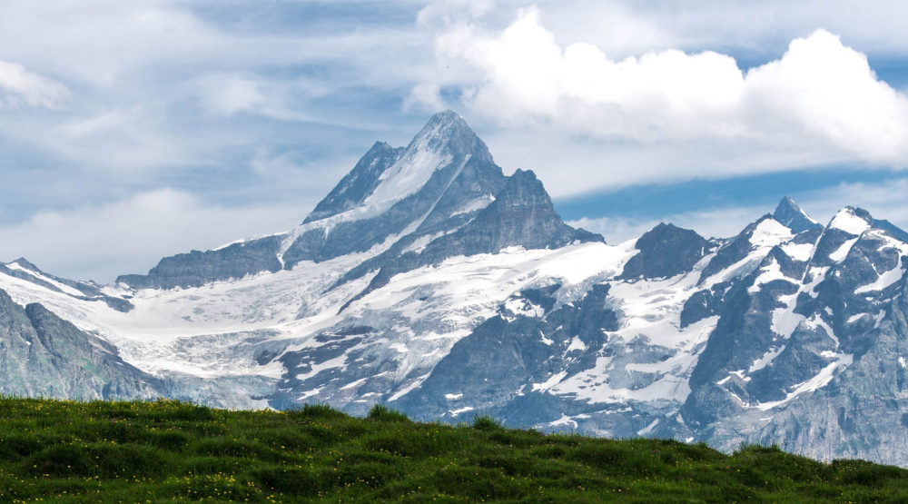 Did the discussions bring us to the foothills of a concerted action plan, or peak with yet more re-articulations of the challenges of the sector?