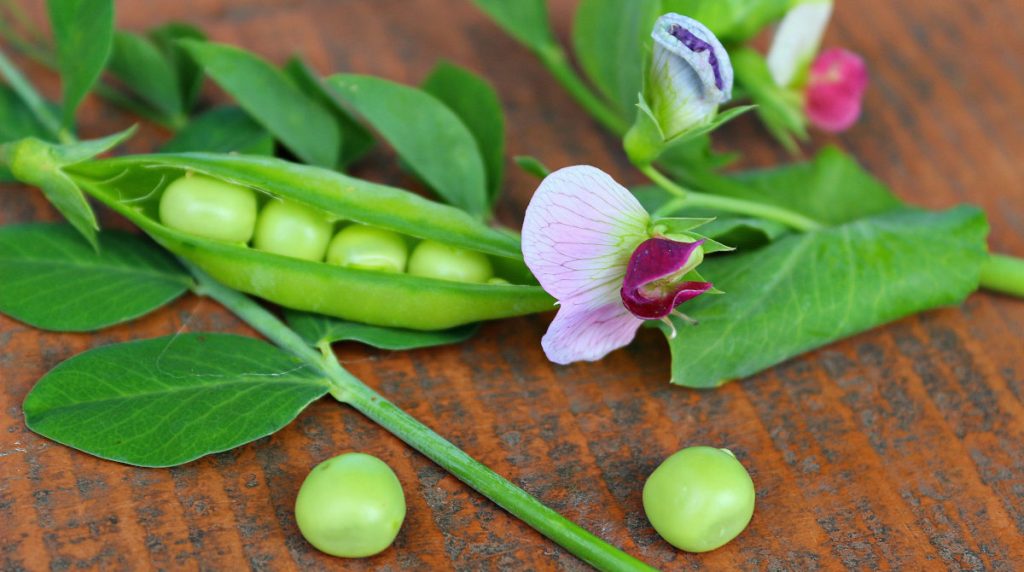 Peas