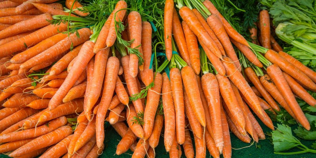 CARROTS 