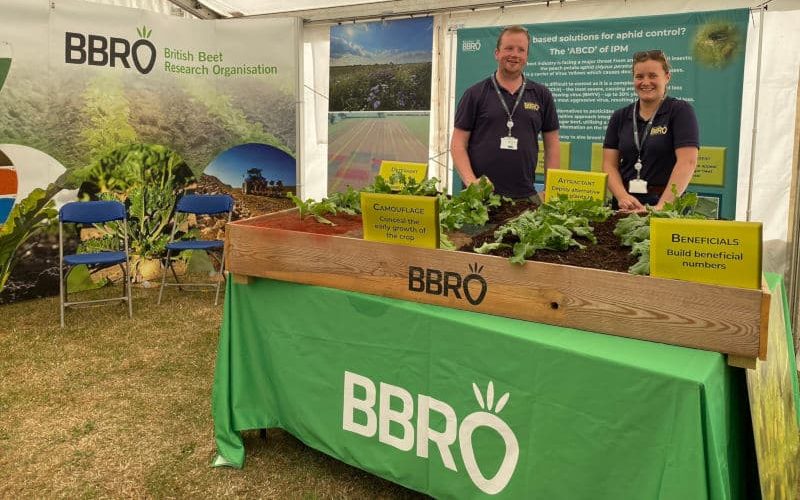 BBRO exhibiting sugar beet trials in the Innovation Hub 2022