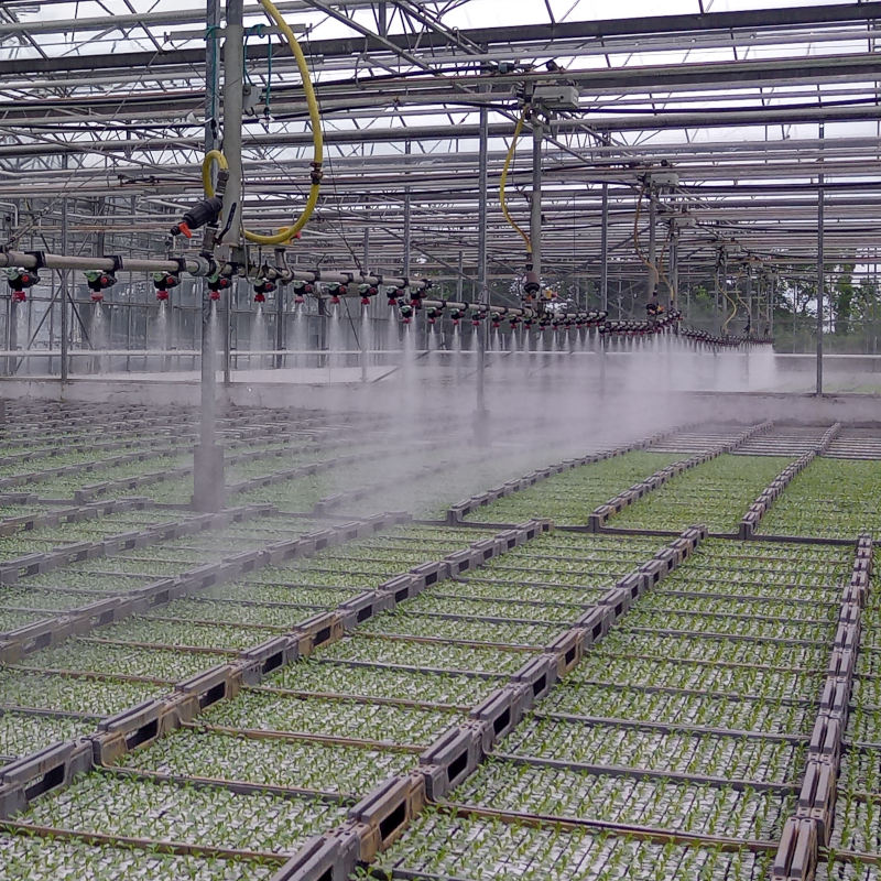 Crystal Heart plants in production
