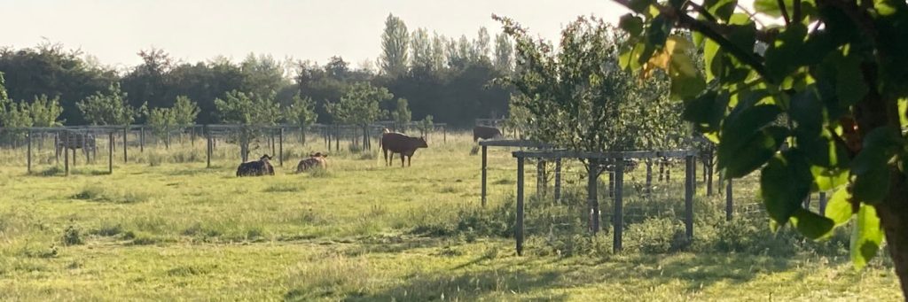 Naturetech: Regenerative farming