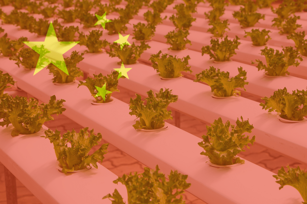 Hydroponics in China; is there really no demand?