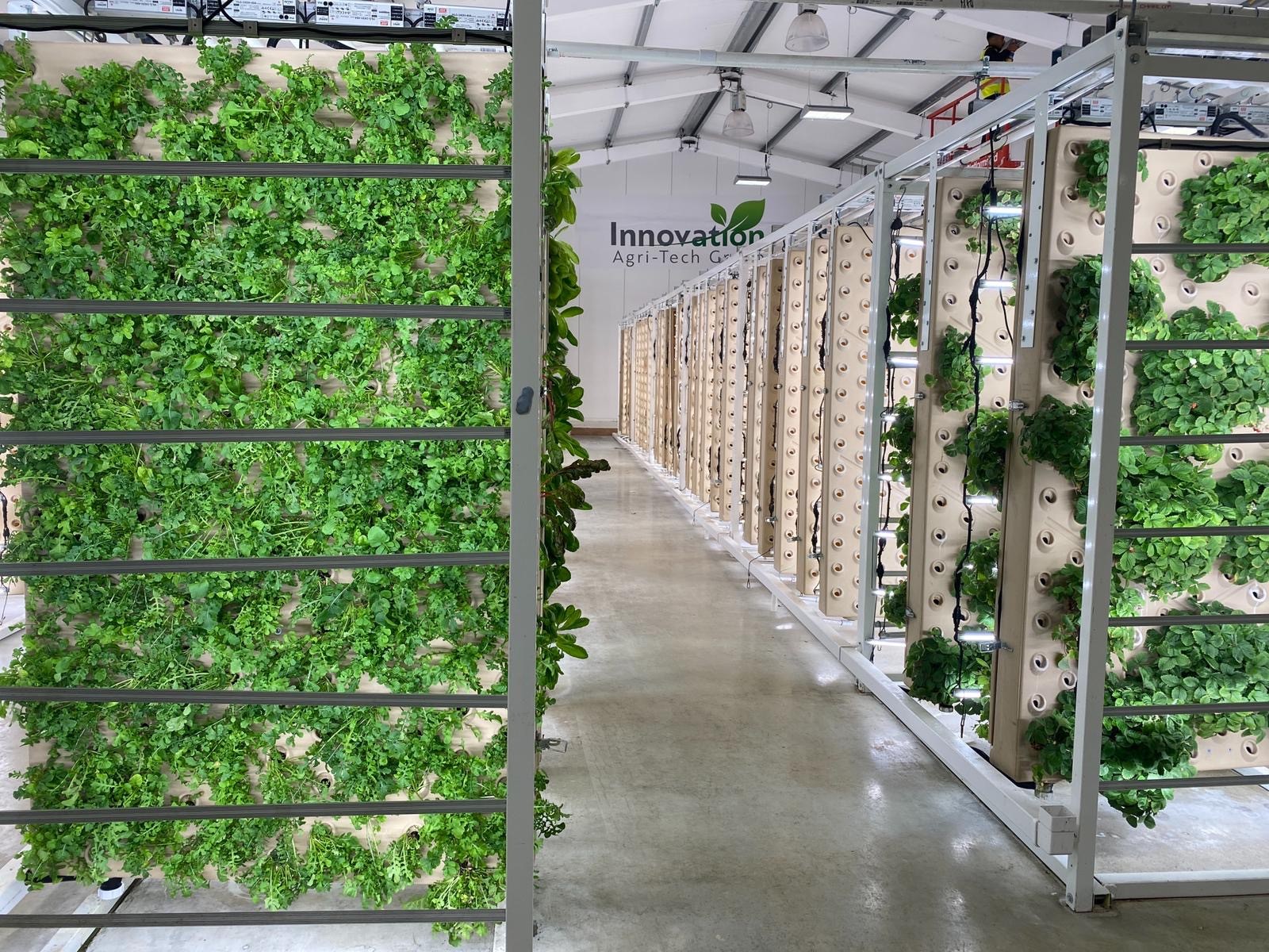 What does a Vertical Farmer look like?