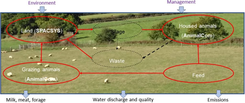 1-s2.0-S0308521X21002602-ga1_lrg-1-scaled