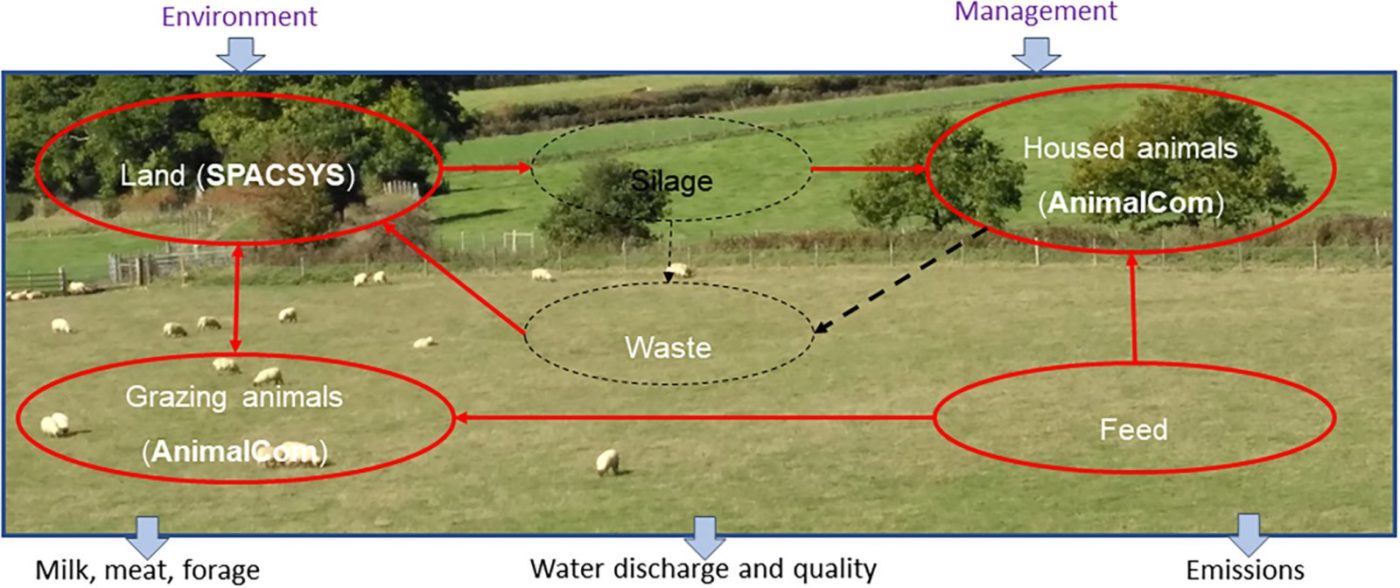 New model makes it easier to predict GHG emissions in different livestock grazing systems