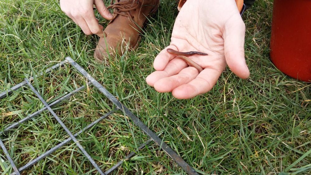 Young Innovators’ Forum: AgriScience Conference 2018