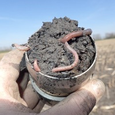 Soil analysis – useful resources