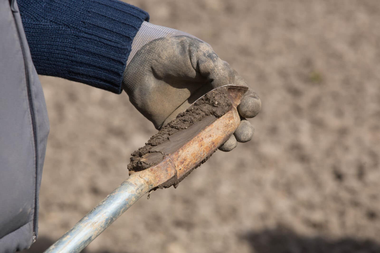 Clever cultivation advised by Hutchinsons for 2021 to protect soil health