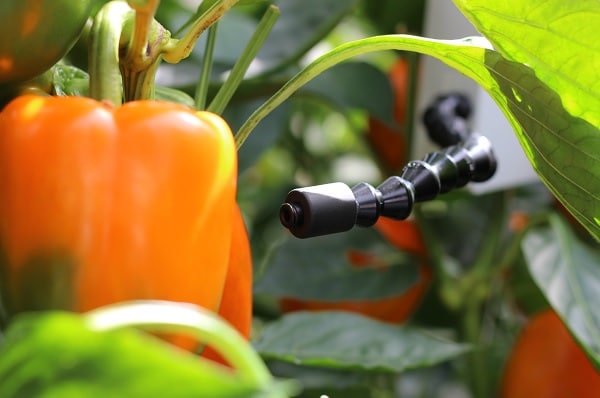 30MHz to show “smart sensing toolkit” at REAP