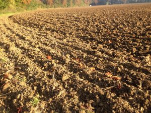 Burying carbon in soil won’t halt climate change