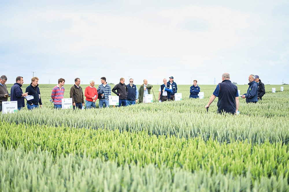 Fram Farmers Crop Walk