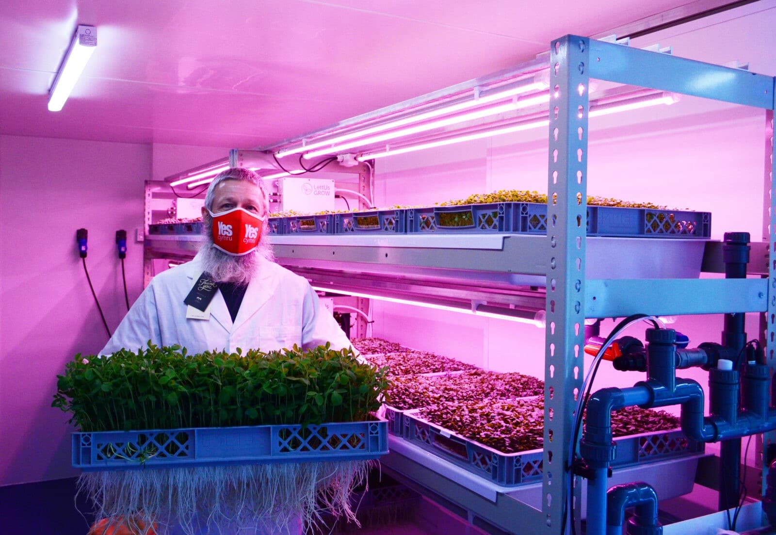 LettUsGrow collaborates on four social impact vertical farming projects