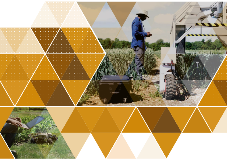 Skills for a high-tech agricultural industry