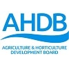 AHDB crop research news