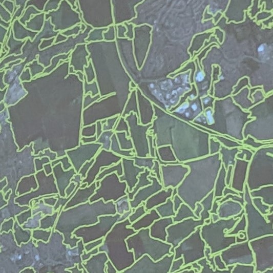 Agri-TechE Week 2019: Getting Value from AI in Agriculture