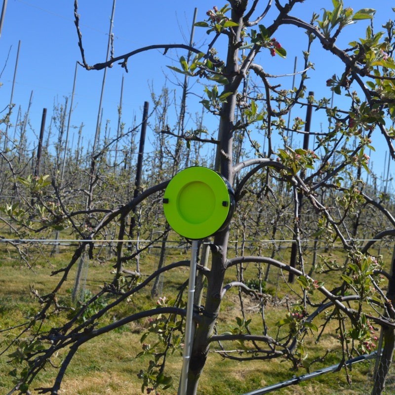AgriSound launches timely pollination monitor at REAP 2021